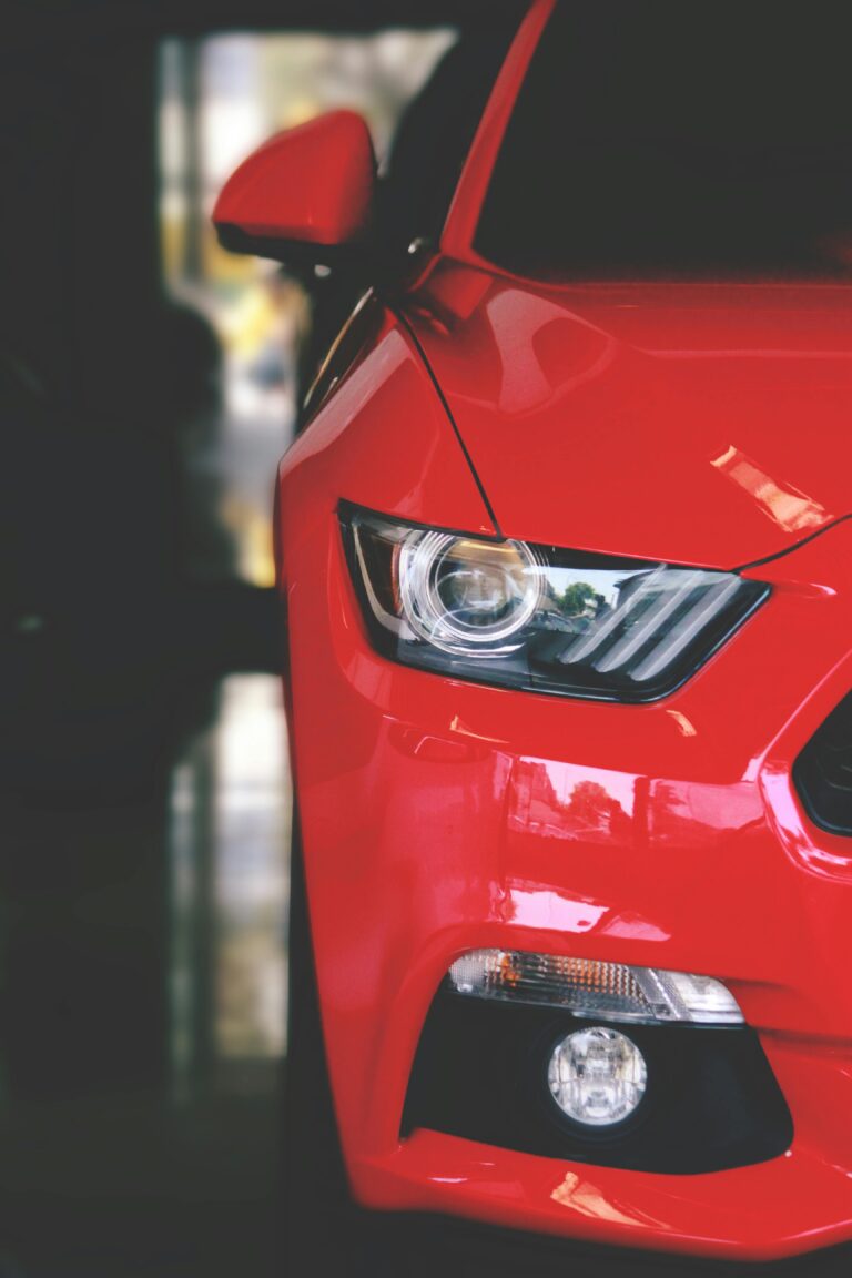 pexels-avinashpatel-445399