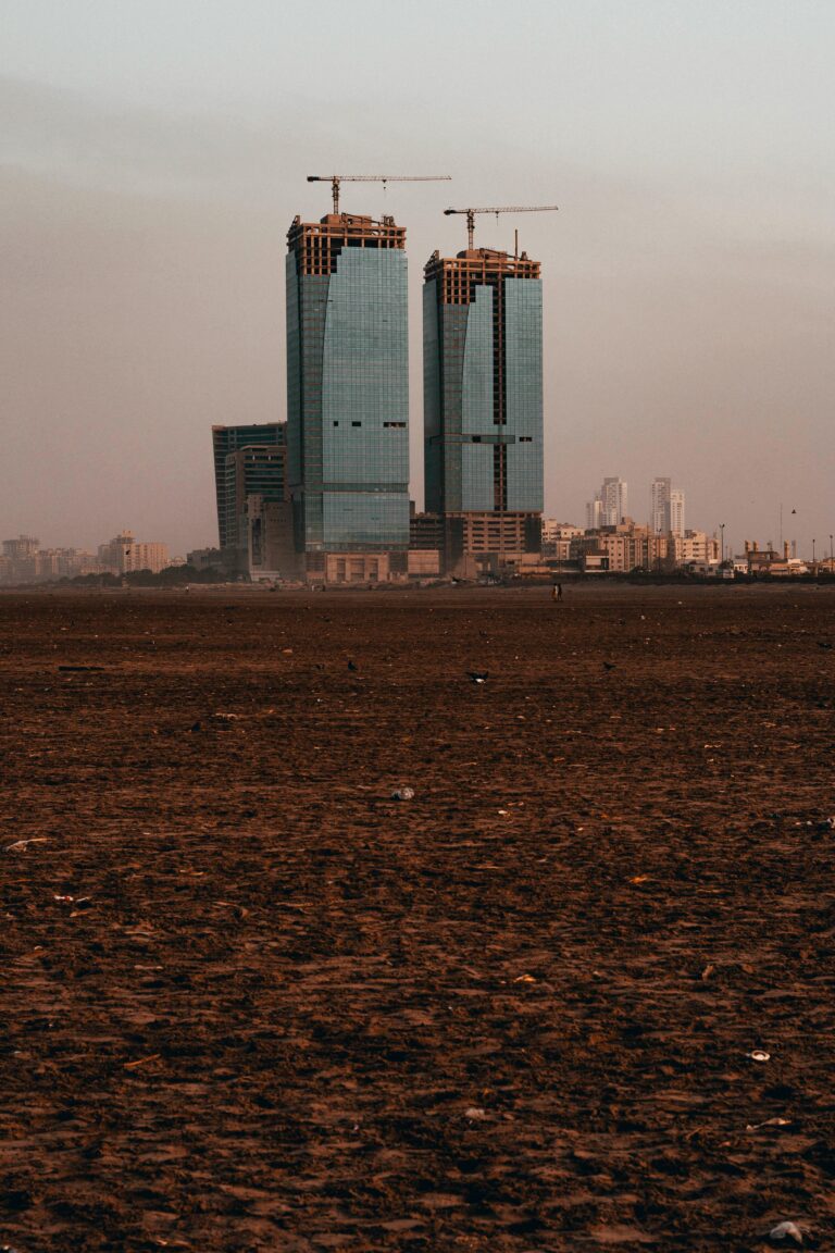 pexels-talhariaz-2590716